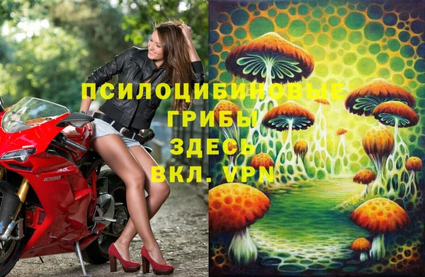 прущие грибы Остров