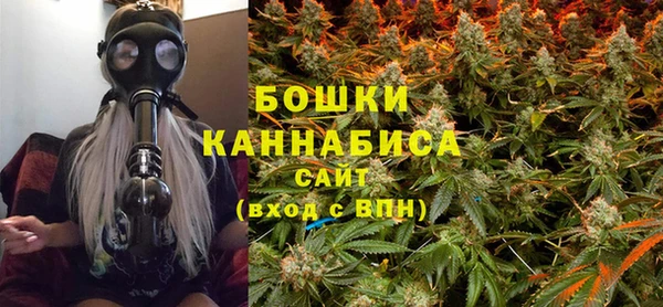 прущие грибы Остров