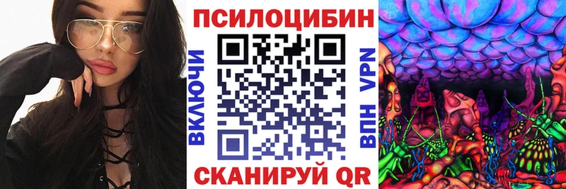 МЕГА tor  как найти наркотики  Светлоград  Псилоцибиновые грибы Cubensis 