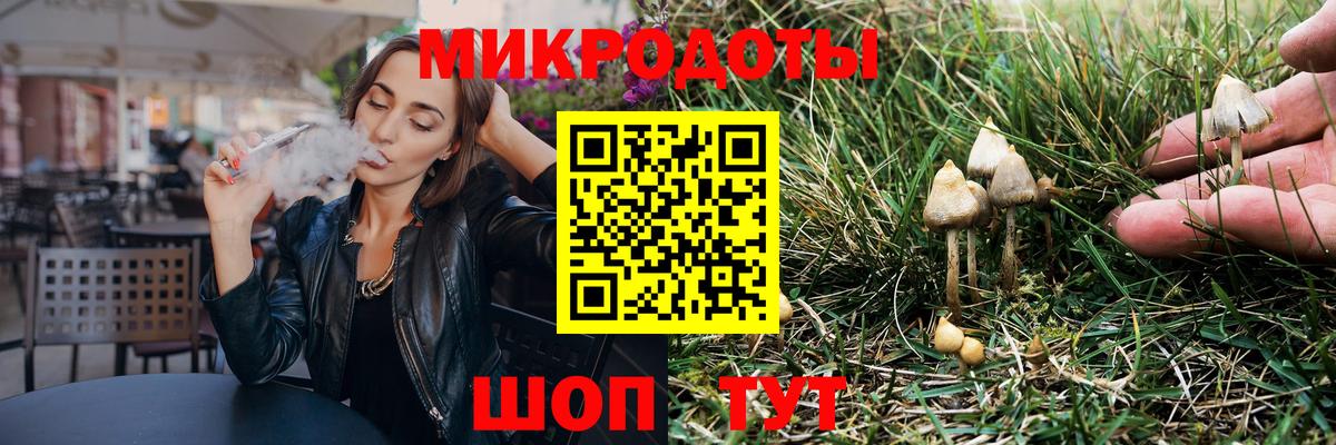 Светлоград  Галлюциногенные грибы Psilocybe  купить наркоту  Вход с VPN  Галлюциногенные грибы Cubensis 